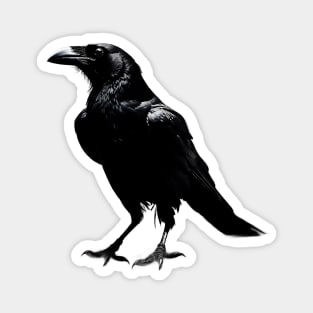 The black and shadowy Crow Magnet