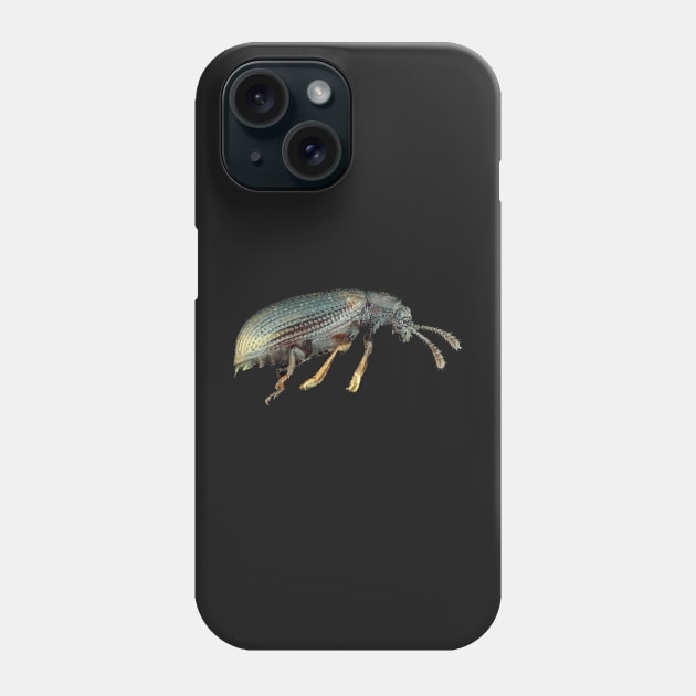 Very small fungus beetle under the microscope Phone Case by SDym Photography