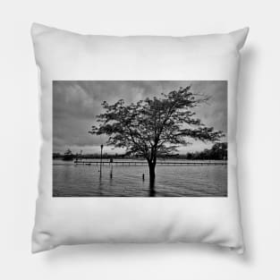 STL Flood Study 1 Pillow