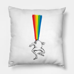 Frog Rainbow Pillow