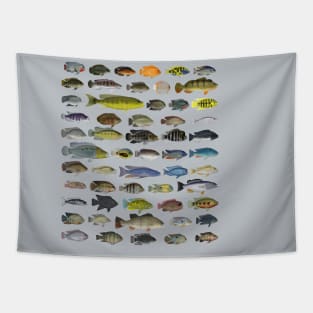 Cichlid Group Tapestry