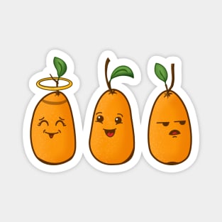 Three Cute Kumquats Magnet