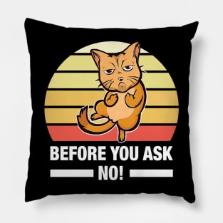 Before You Ask No Cat Pillow