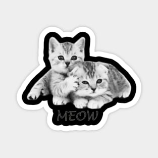 Cute Meows Line art Magnet