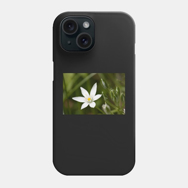 Star Of Bethlehem Phone Case by EugeJ