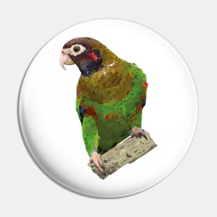 Hooded Parrot Pin