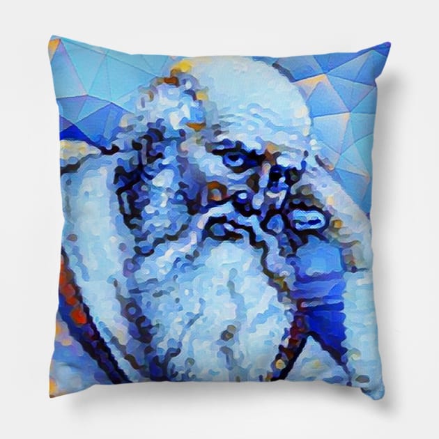 St. Jerome Portrait | St. Jerome Artwork | St. Jerome Painting 14 Pillow by JustLit