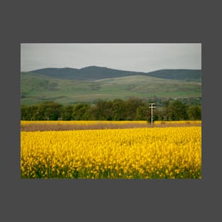 Yellow field T-Shirt