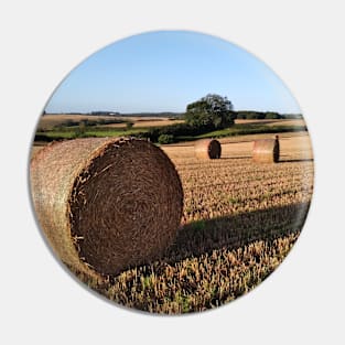 Round bales in evening light Pin