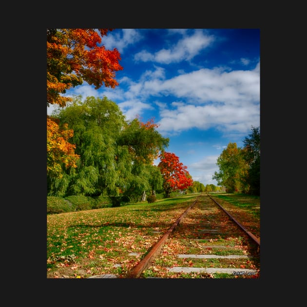 Railroad Tracks at Grand-Pre National Historic Site by kenmo