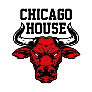 Chicago House Music Design Bulls T-Shirt