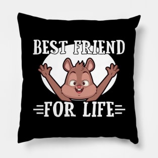 Best Friend For Life Squirrel Pillow