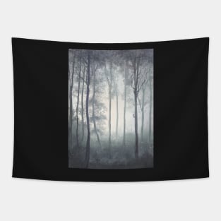 Frozen Fog in the Forest Tapestry