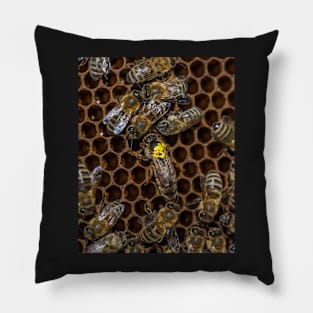 Queen bee Pillow