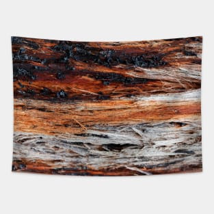 Vibrant Tree Oozing Sap From Trunk - Alternative VI Tapestry