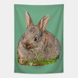 Cute Baby Wild Rabbit Tapestry