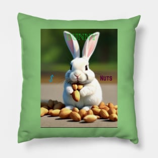 Bunny $ nuts Pillow