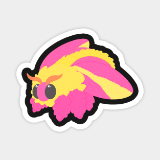 Pink moth Magnet