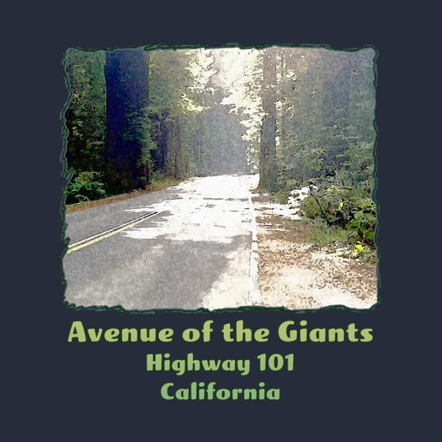 Avenue of the Giants - Highway One - Hwy 1 - Redwood or Sequoia Road, California by jdunster