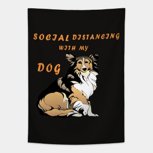 social distancing with my dog Tapestry