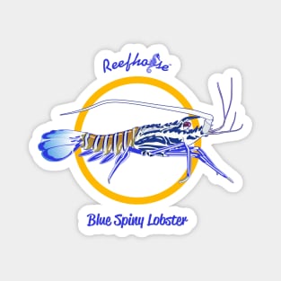 Blue Spiny Lobster Magnet