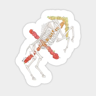 Sagittarius Skeleton - Black outline Magnet