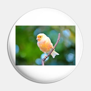 Canary Pin