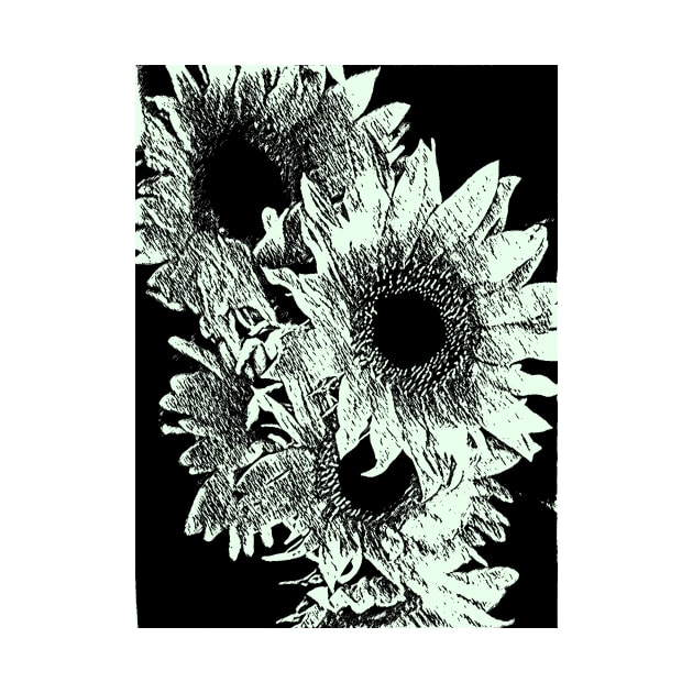 Sunflowers in Black and White by Tovers