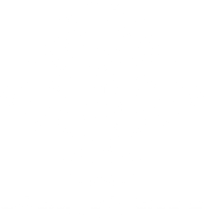 Born to ride Magnet