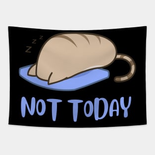 Lazy Cat Nope not Today funny sarcastic messages sayings and quotes Tapestry