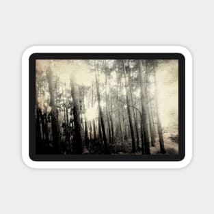 Into The Forest Impression Magnet