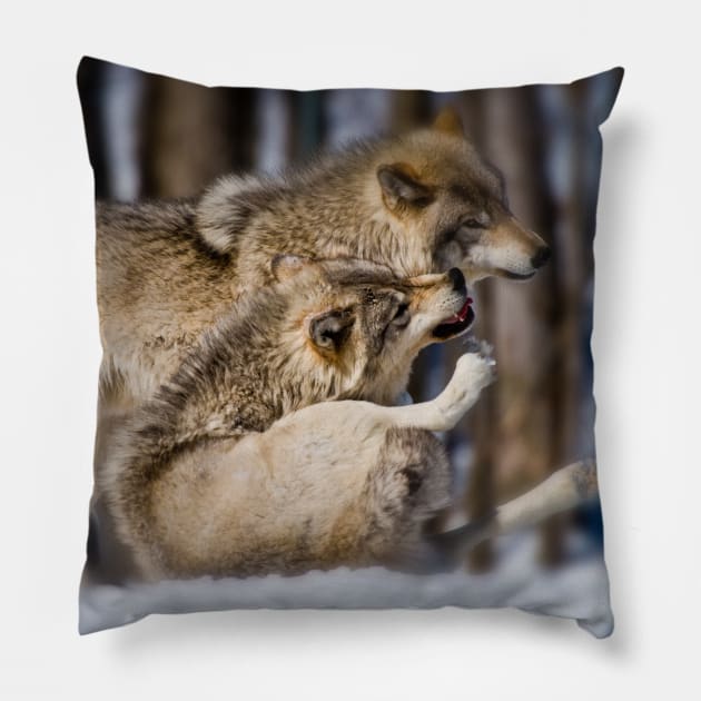 Timber Wolves Pillow by jaydee1400