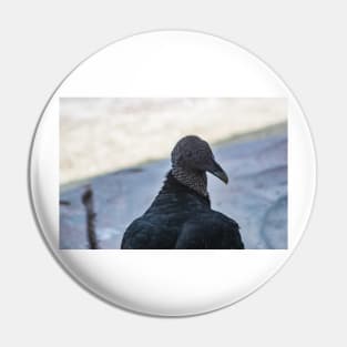 Eloquent  Turkey Vulture Pin