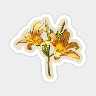 Daylily Blooms Magnet