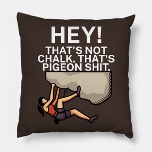 Hey Thats not chalk Thats pigeon shit Pillow