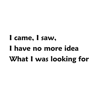 I came, I saw,  I have no more idea What I was looking for T-Shirt