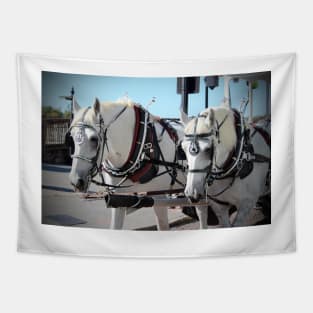 Percheron Draft Horses Tapestry