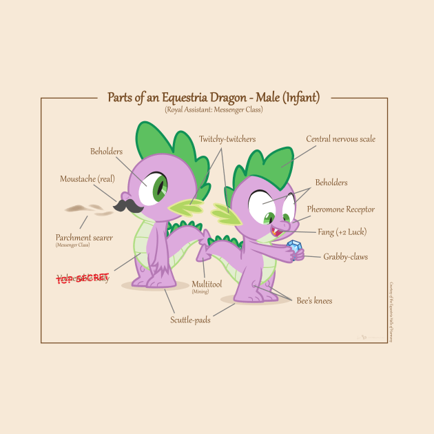 Dragon Anatomy - Male (Infant) by judacris