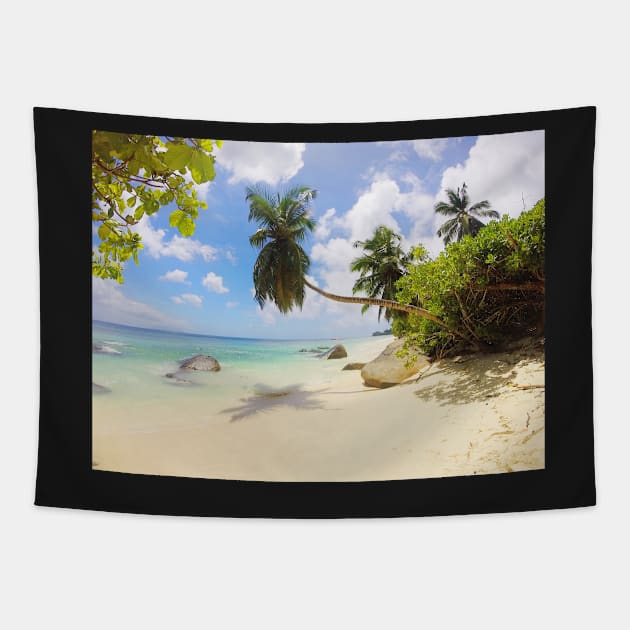 Seychelles beach palm tree print Tapestry by simplythewest