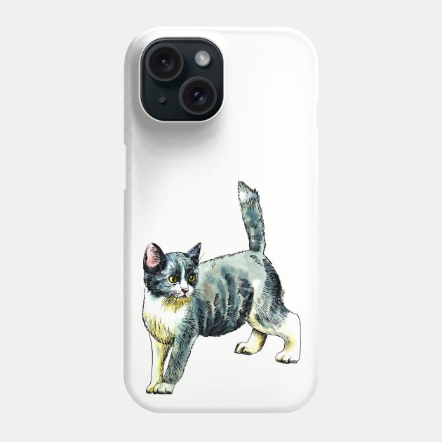 grey kitten Phone Case by VicaVeresk