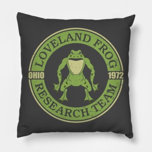 Loveland Research Team Pillow