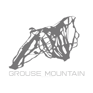 Grouse Mountain Resort 3D T-Shirt