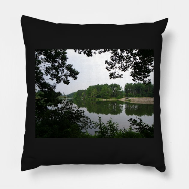 Lake View Photography Art, Beautiful Pine Trees, Nature Scenery Pillow by tamdevo1