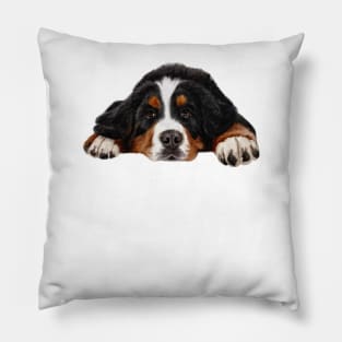 bernese mountain dog Pillow