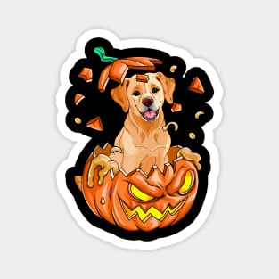 Golden Retriever In The Pumpkin tshirt halloween costume funny gift t-shirt Magnet