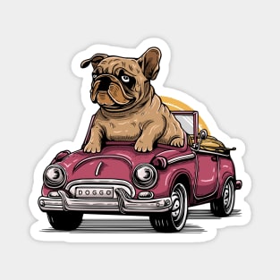 Bulldog Riding Open Roof Car Magnet