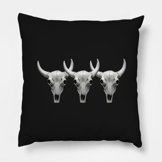 Cow Steer Skull , triple Photograph Pillow by IrenesGoodies