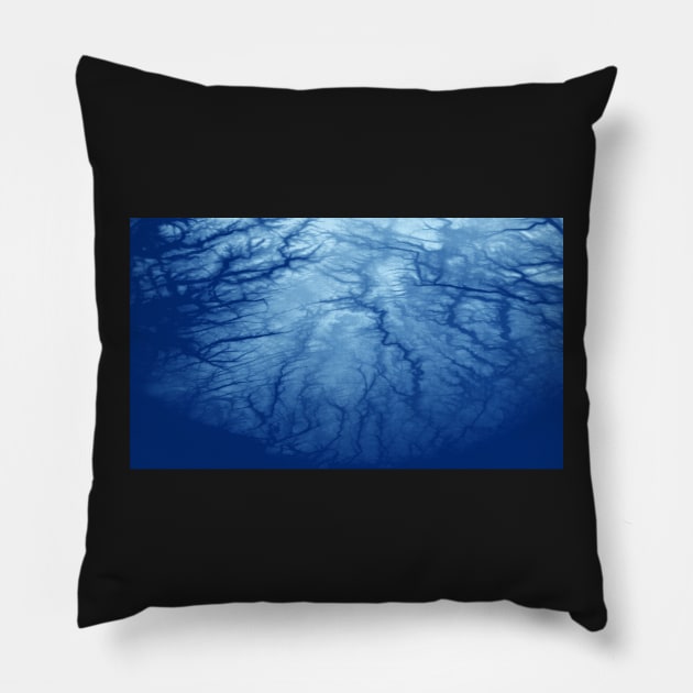 Southern Norway Pillow by artesonraju