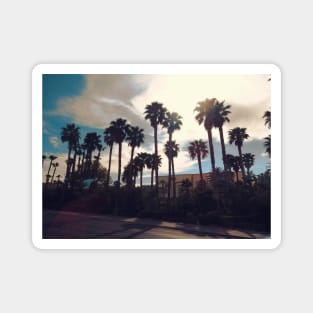 Palms blue sky clouds palm tree in Las Vegas Nevada Magnet