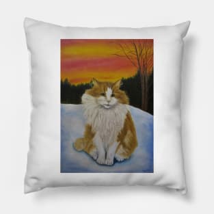 Cat in sunset Pillow